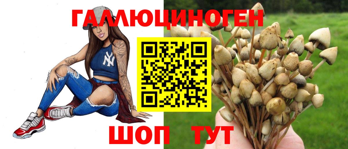 Шали  Галлюциногенные грибы GOLDEN TEACHER  Вход с VPN 